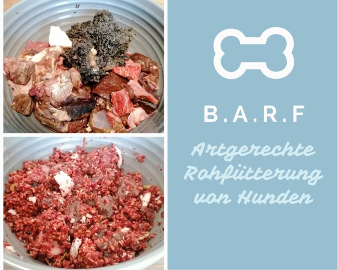 B.A.R.F. - Artgerechte Rohfütterung von Hunden