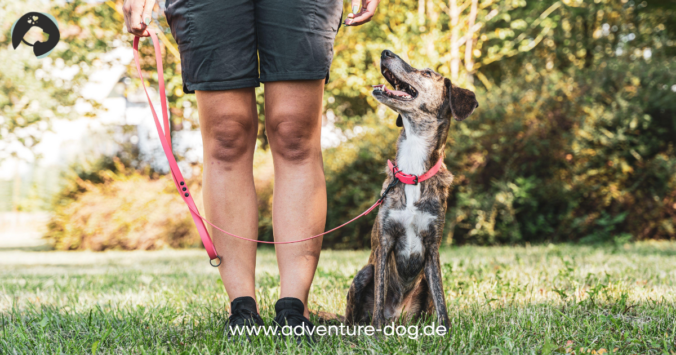 Grunderziehung im Alltag