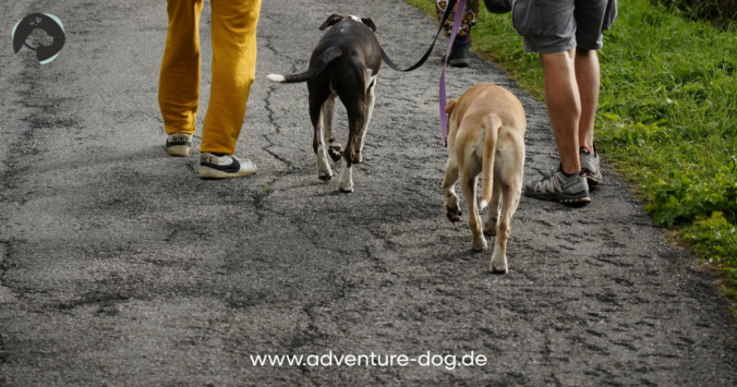 Social Walk Bramsche