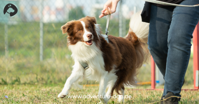 Themenkurse und Seminare